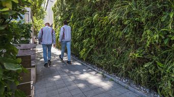 Two people with Audi jackets are walking along a path surrounded on both sides by leaves.